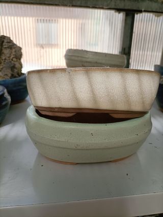 Vasi Bonsai Rettangolari Ovali