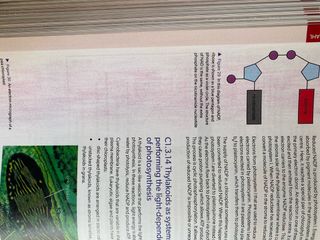 IB DP Biology Course Book Oxford