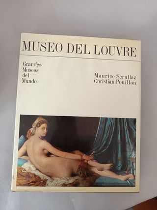 Museo del Louvre - Libro Arte
