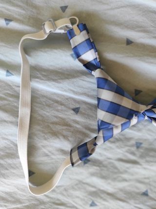 2 Corbatas niño Tizzas azul-blanco