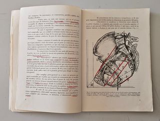 LIBRO CUADERNOS DE ANATOMIA TOMO 4 AÑO 1974