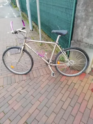 Biciclette uomo/donna/bambino