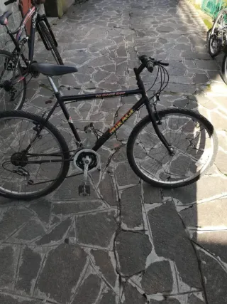Biciclette uomo/donna/bambino
