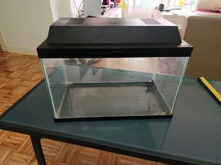 Pecera de cristal 20L