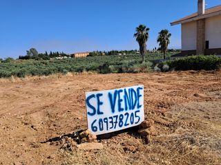 Parcela Urbana San Roque, Linares