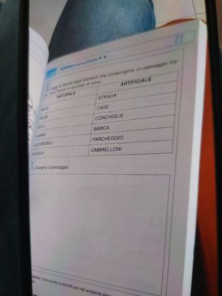 Schede Ingresso Valutazione Diagnostico-Iniziale