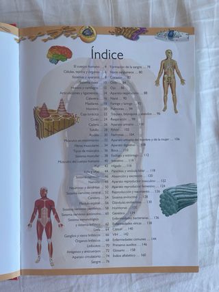 Gran Libro del Cuerpo Humano
