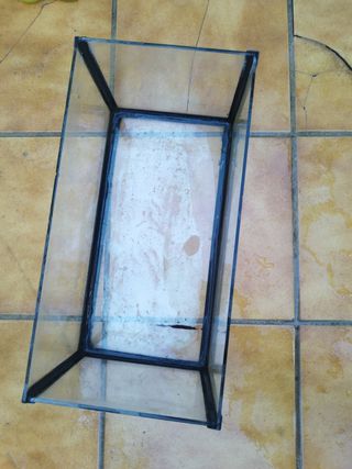 Pecera pequeña de cristal