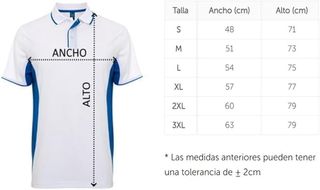 Camiseta Ferrari Hamilton 2025 - No Oficial