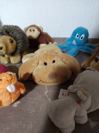 6 Peluche Animali