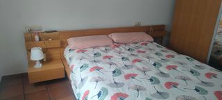 Cama roble maciza a recoger en Luesia.Laminas abat