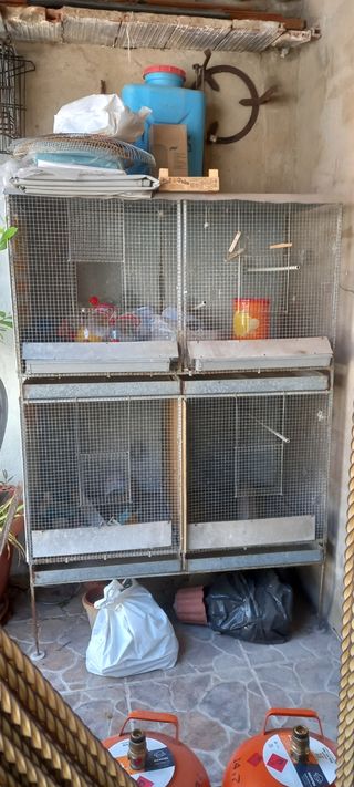 Jaulas pájaros - 4 jaulas