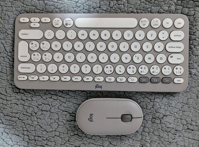 iPad Pro 12.9" 256GB - Gris