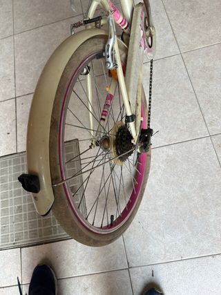 Bicicleta paseo niña 20" usada
