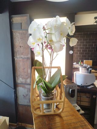 Revistero,  Porta-mantas o macetero.