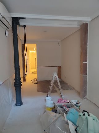 Pintor profesional