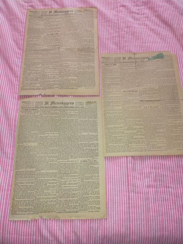 Collezione giornali Il Messaggero (Roma, 1884)