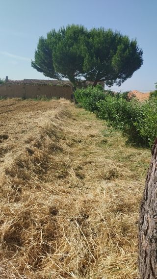 Desbroce de jardines solares fincas etc