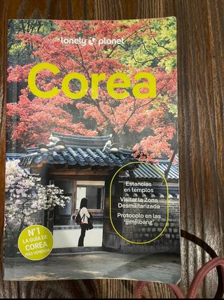 Guía Corea 2025