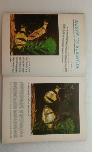 Revista Aquarama N9 - 1982.