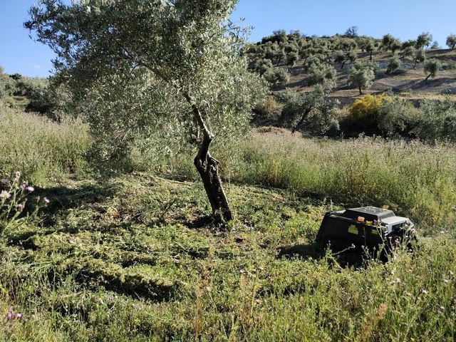 Desbrozadora robot radio control