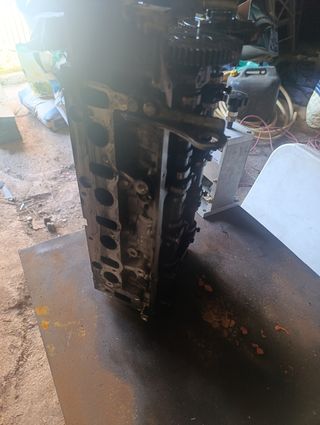 Despiece completo motor D20DTF 