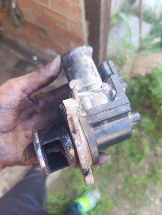 Despiece completo motor D20DTF 