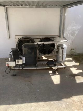 Cámara conservación alimentos