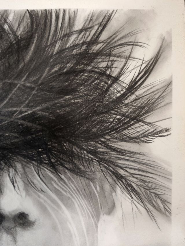 Lámina carboncillo - Dibujo mujer. decoracion