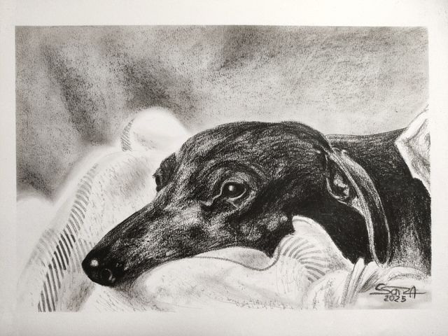 Lámina carboncillo - Dibujo mujer. decoracion