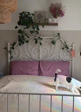 Estructura de Cama + Somier 1,60