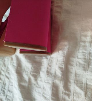 Zapatos tacón fucsia Mango