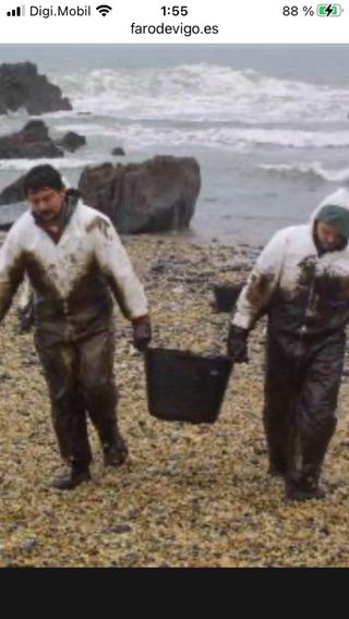 Mono blanco limpieza Prestige Galicia.