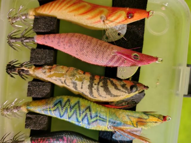 Caja de egins (pajaritos)