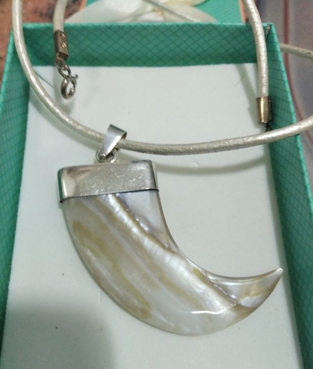 Colgante Colmillo Nacar y Plata de ley
Con cordon