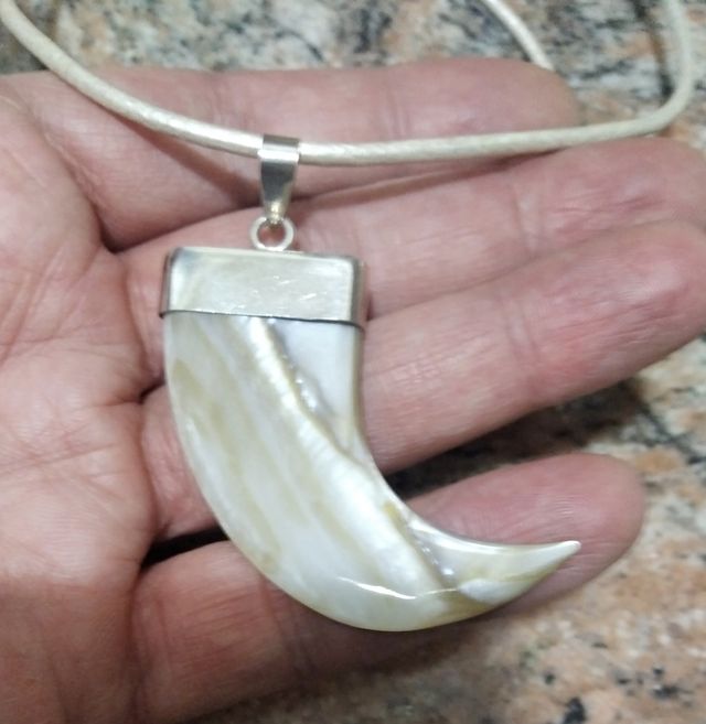 Colgante Colmillo Nacar y Plata de ley
Con cordon