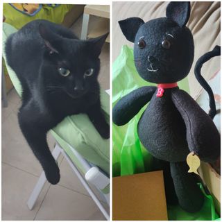 Gatita peluche negra