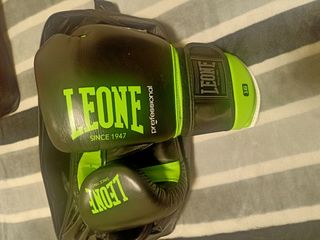 Guantes boxeo Leone 16oz serie professional.