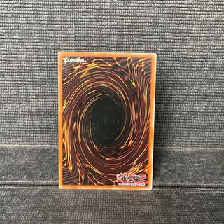 Darkbright Eroe Elementale - Yugioh