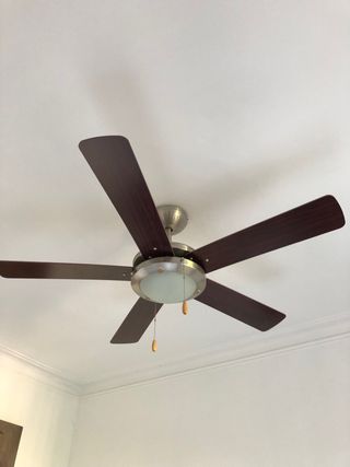 Ventilador techo Cecotec marrón