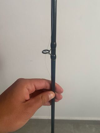 Caña Graphiteleader - casting 