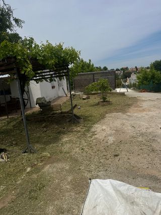 Desbroce y poda de jardín