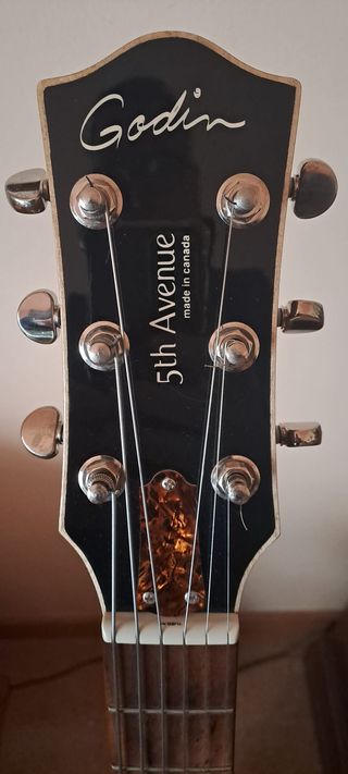 Godin 5th Avenue Kingpin + Estuche Tric Godin