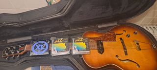 Godin 5th Avenue Kingpin + Estuche Tric Godin