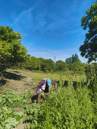 Agrícola / Jardinero / Ganadero