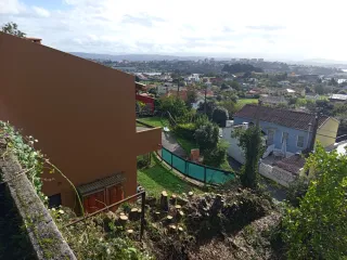 Desbroce de fincas - Agroforesta regenerativa.