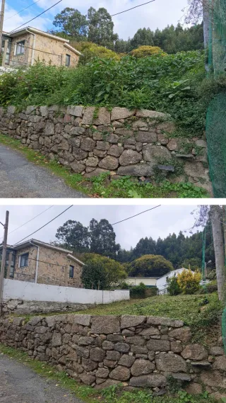 Desbroce de fincas - Agroforesta regenerativa.