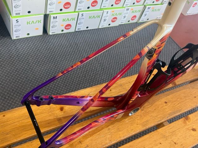 Cuadro Factor Ostro VAM edición limitada