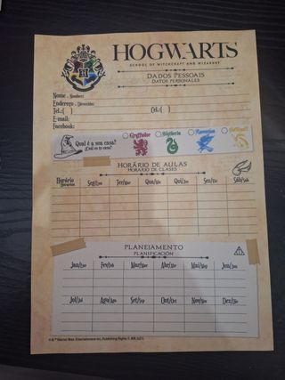 Set Decorazioni Harry Potter