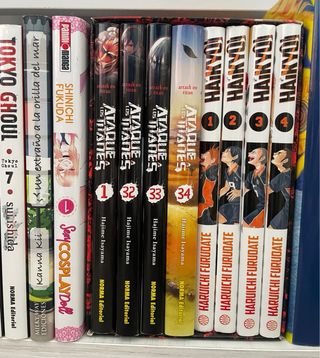 MANGAS VARIOS